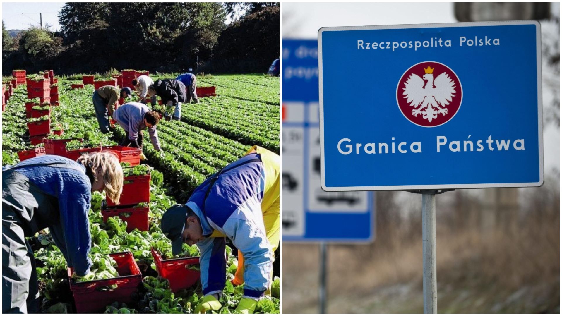 Для украинских заробитчан в Польше изменили правила карантина Для украинских заробитчан в Польше изменили правила карантина