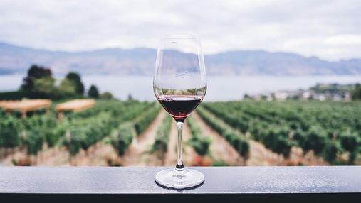Освіта для гурманів: де в Європі можна отримати диплом винороба