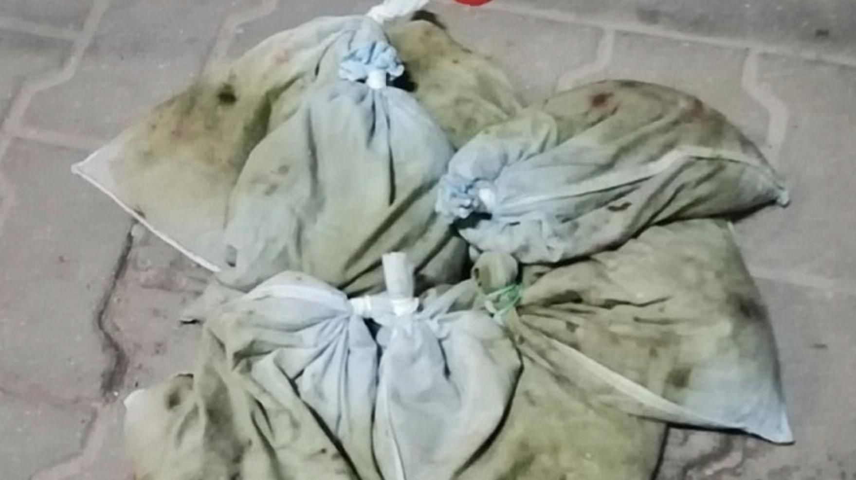 Нелегальний багаж з п'явок Нелегальний багаж з п'явок