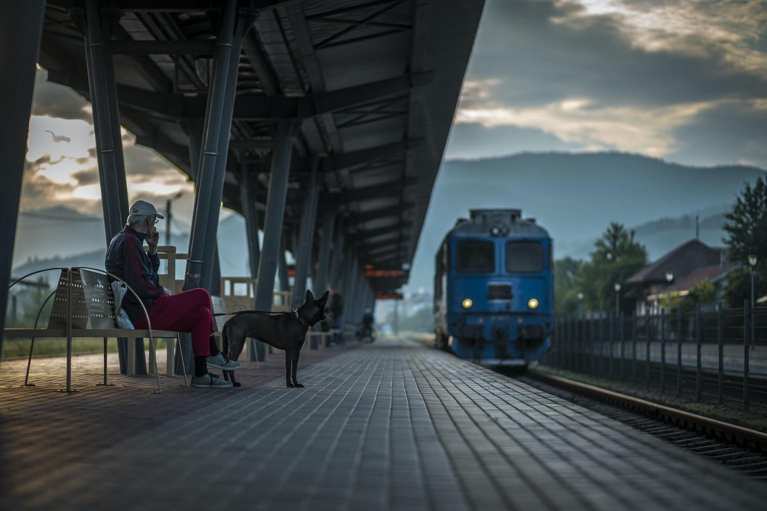 Відновили рух потягів за маршрутом "Суботиця – Будапешт"