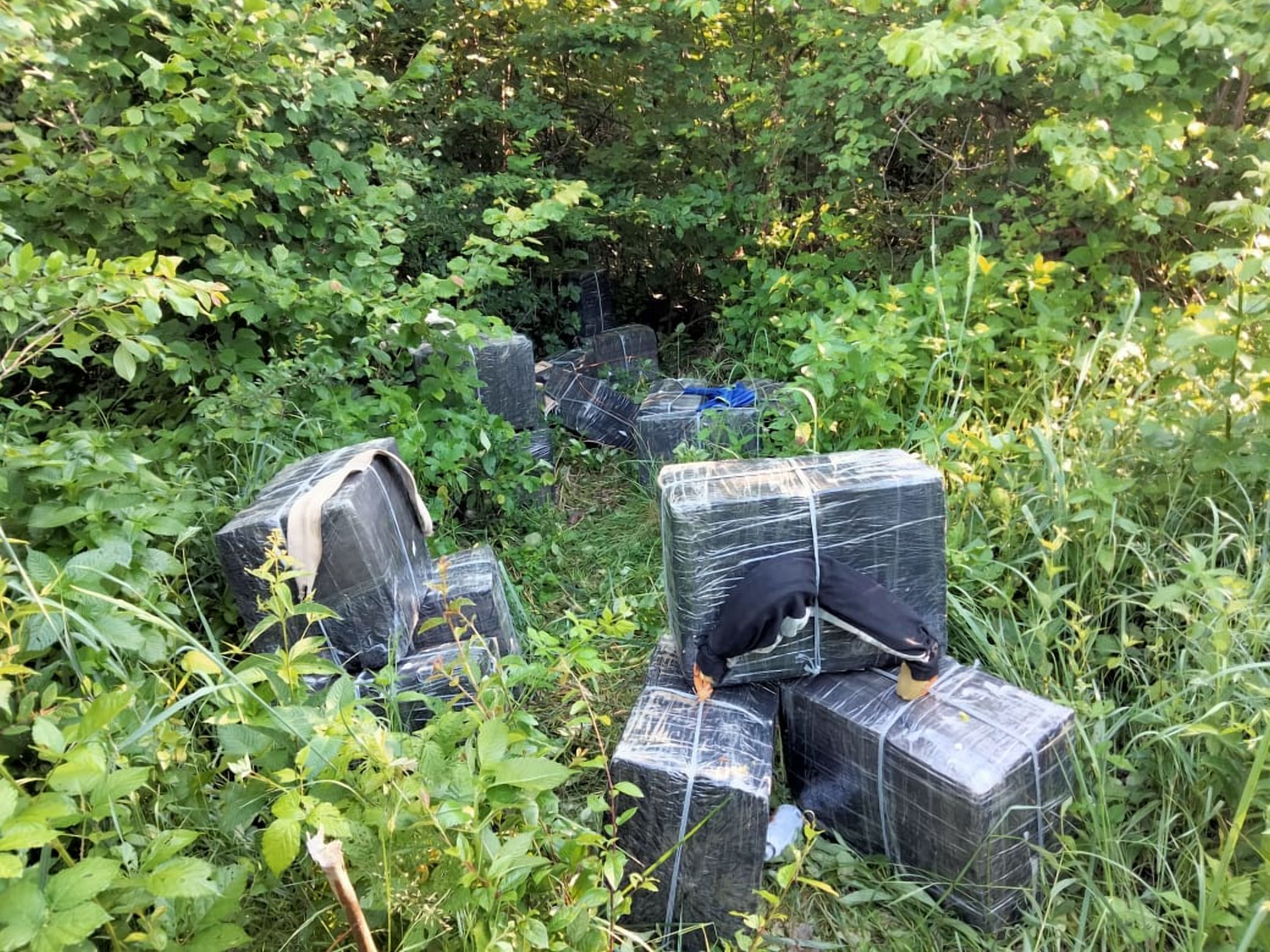 Пограничники обнаружили более 12 тысяч пачек безакцизных сигарет Пограничники обнаружили более 12 тысяч пачек безакцизных сигарет