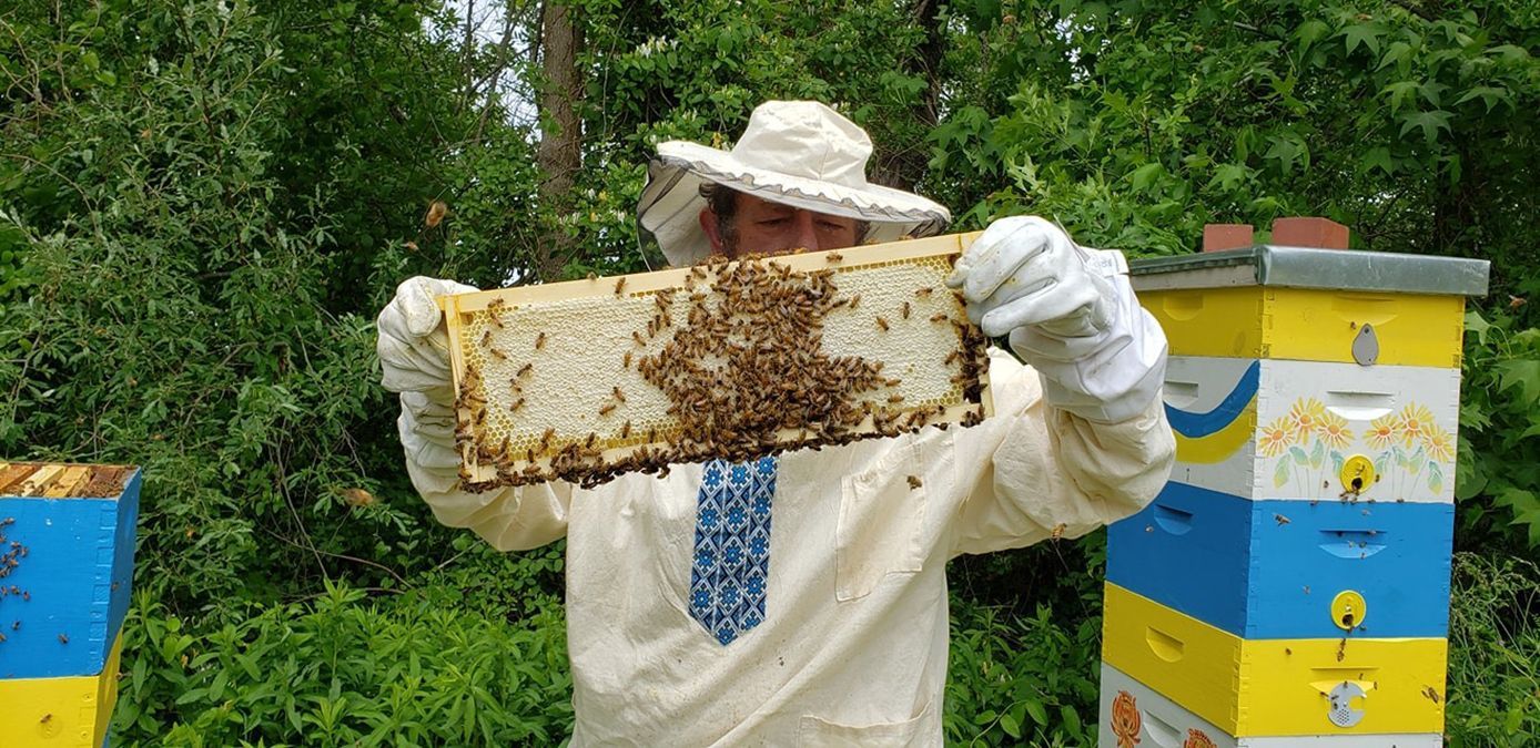Солодка еміграція: як українець розвиває пасіку у США Солодка еміграція: як українець розвиває пасіку у США