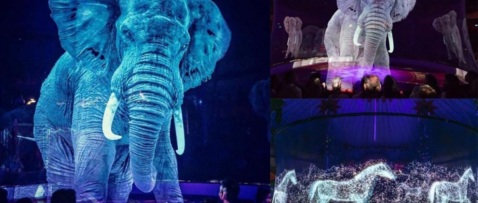 Жителів Вроцлава запрошують відвідати незвичний цирк Жителів Вроцлава запрошують відвідати незвичний цирк