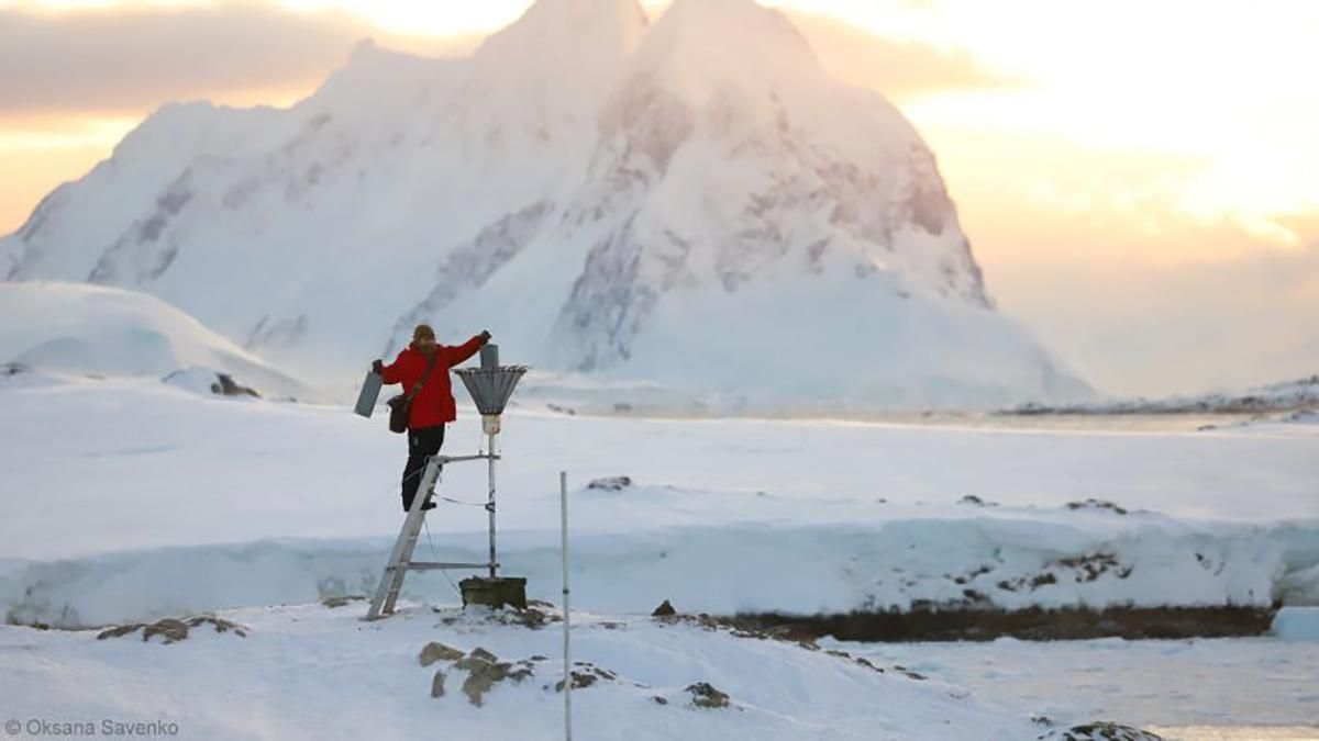Українські вчені проводять дослідження в Антарктиці Українські вчені проводять дослідження в Антарктиці