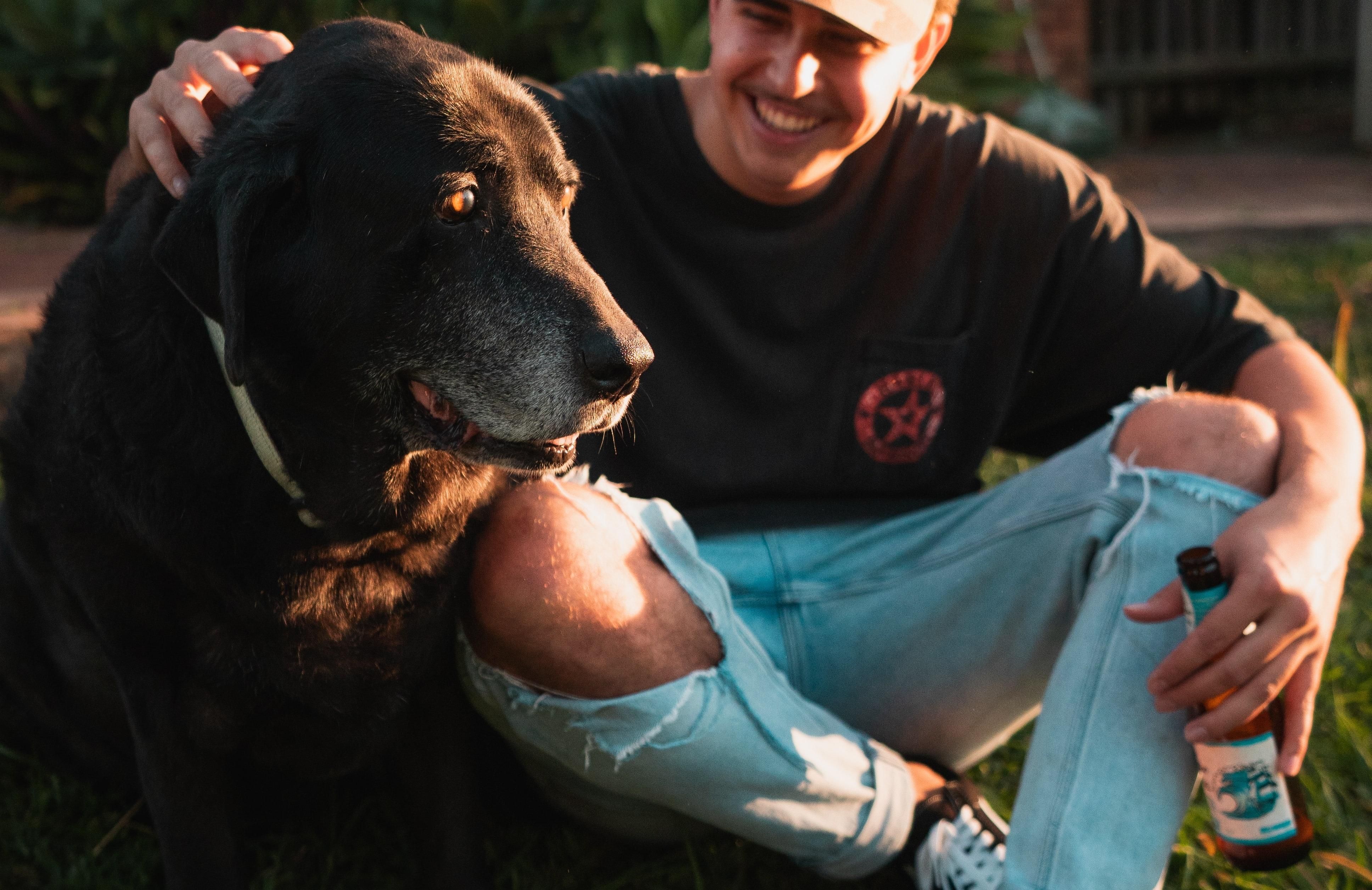 Как помогать собакам, покупая пиво: в Польше действует интересная акция - Закордон Как помогать собакам, покупая пиво: в Польше действует интересная акция - Закордон