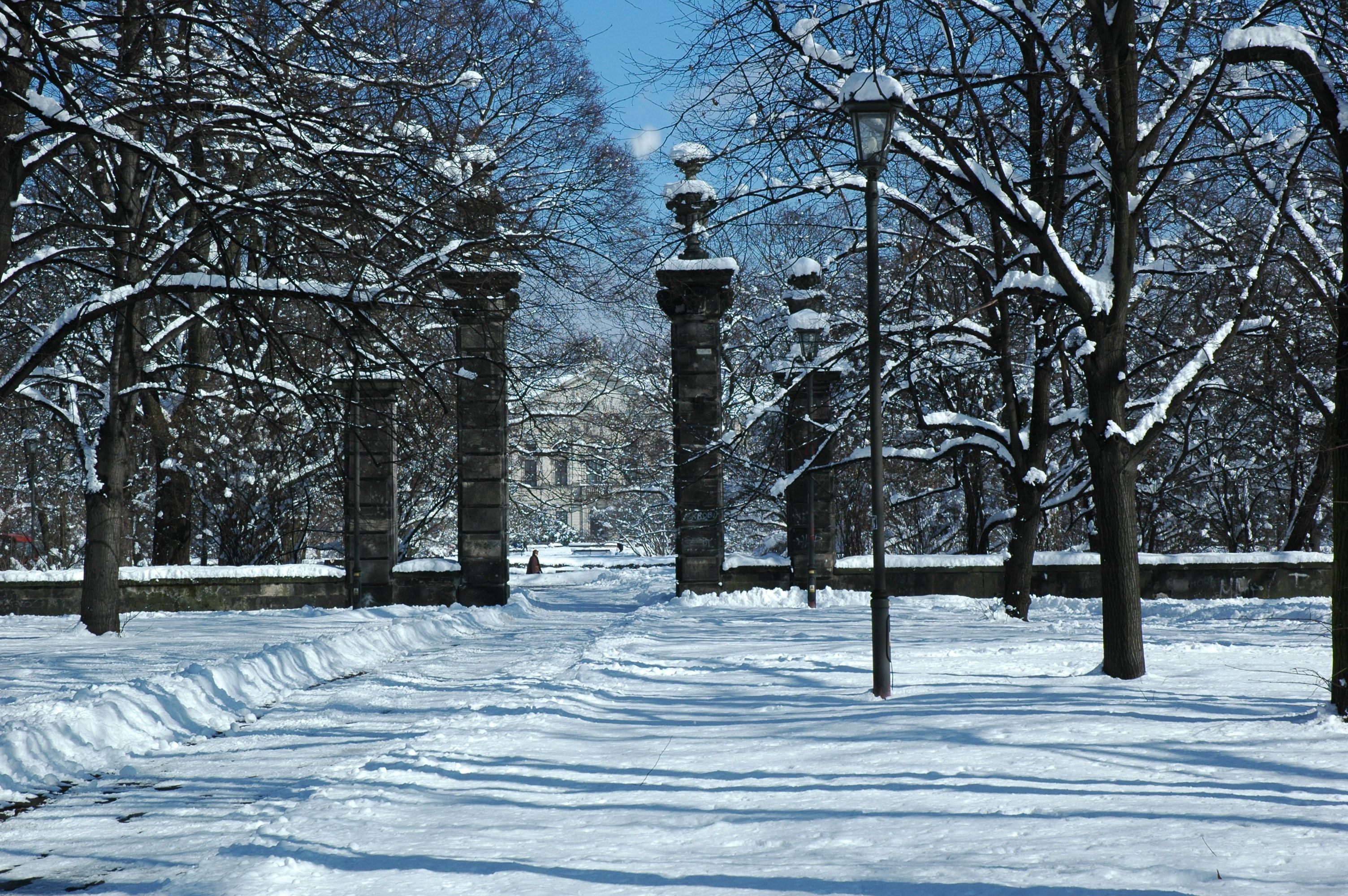 У Варшаві хочуть взимку запасати сніг на літо: чому це важливо - Новини світу - Закордон У Варшаві хочуть взимку запасати сніг на літо: чому це важливо - Новини світу - Закордон
