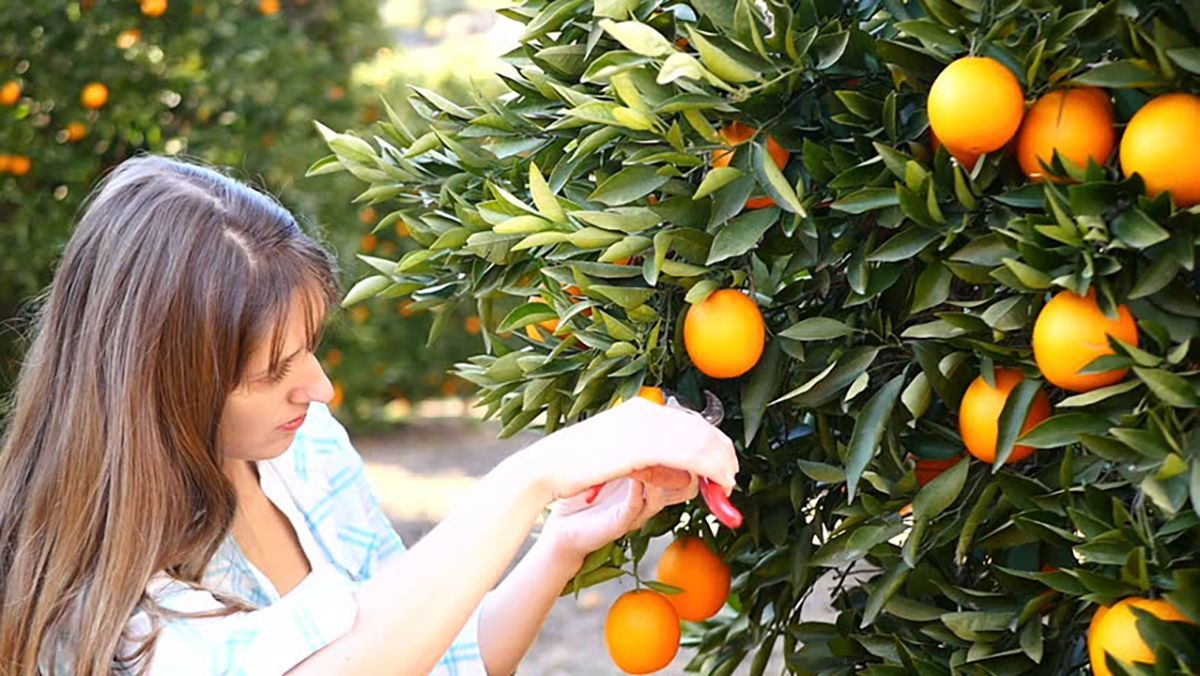 Від офіціанта до будівельника: скільки можна заробити трудовому мігранту в Іспанії - Закордон Від офіціанта до будівельника: скільки можна заробити трудовому мігранту в Іспанії - Закордон