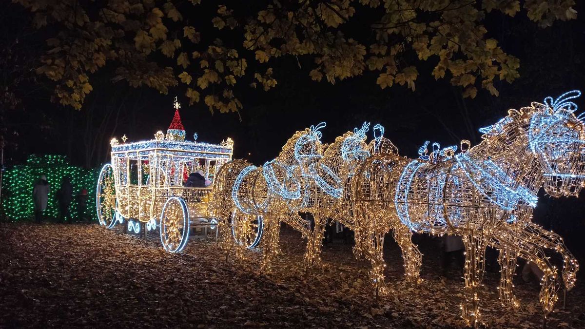 Рождественская сказка: Парк иллюминации под Вроцлавом украсили сотнями гирлянд – волшебные фото - Закордон