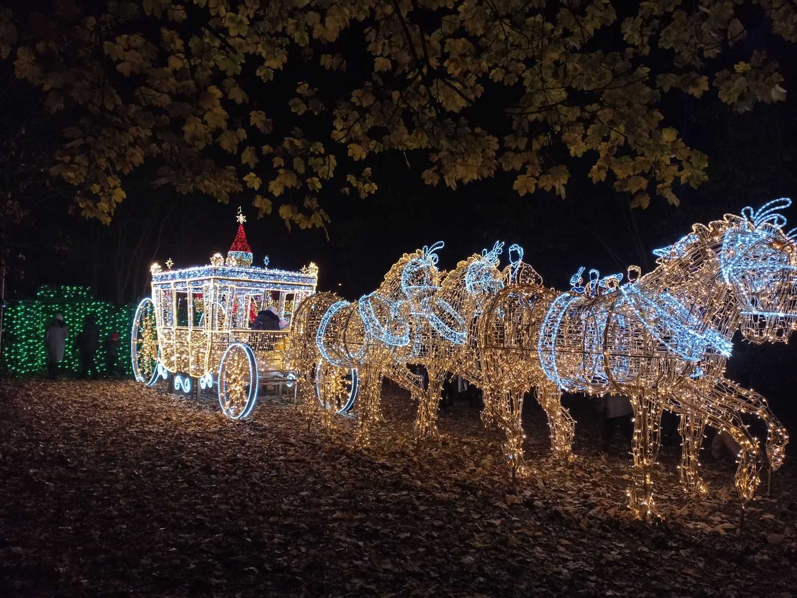 Рождественская сказка: Парк иллюминации под Вроцлавом украсили сотнями гирлянд – волшебные фото - Закордон Рождественская сказка: Парк иллюминации под Вроцлавом украсили сотнями гирлянд – волшебные фото - Закордон