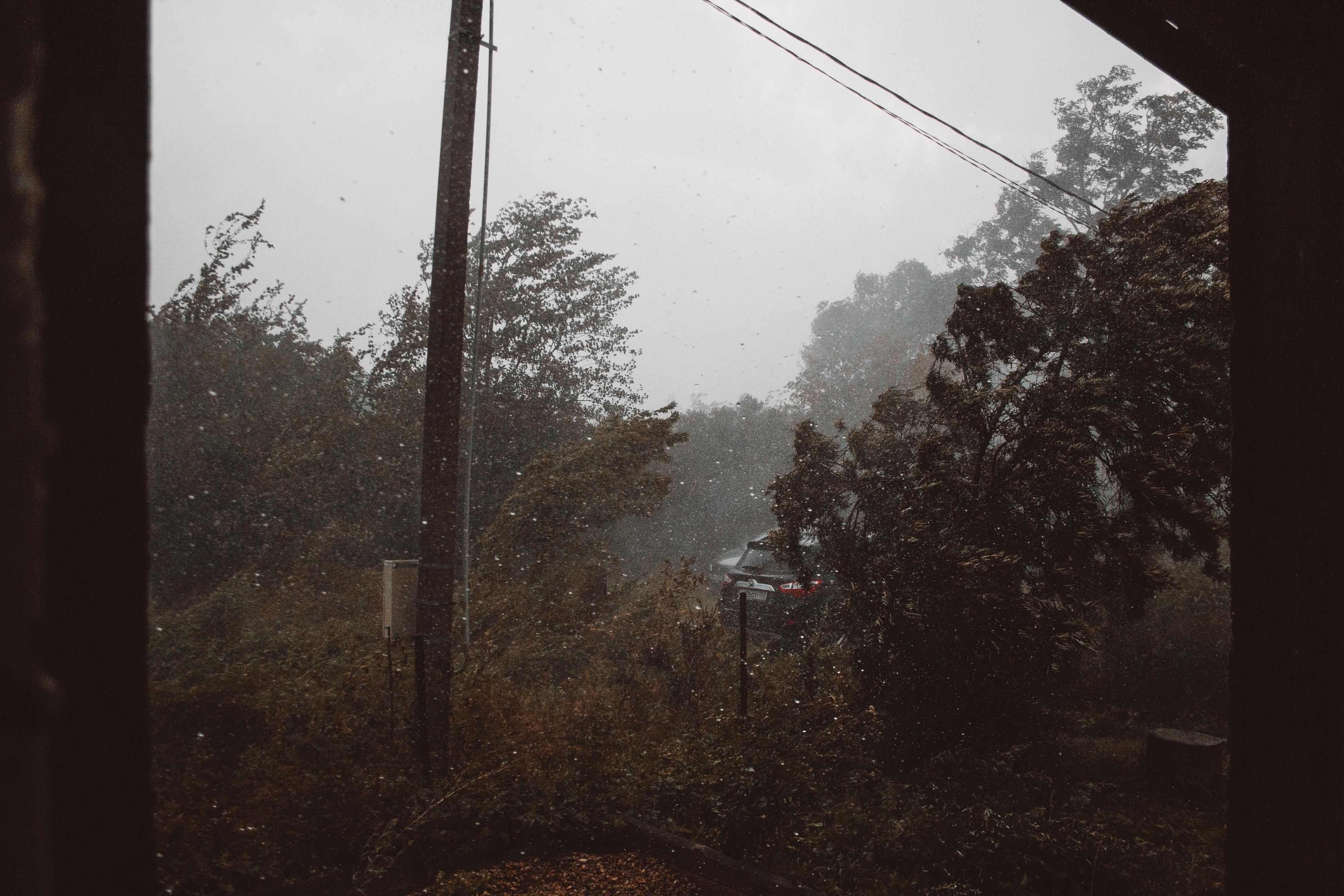 Наслідки негоди: за минулу добу рятувальників в Польщі викликали понад тисячу разів - Закордон Наслідки негоди: за минулу добу рятувальників в Польщі викликали понад тисячу разів - Закордон