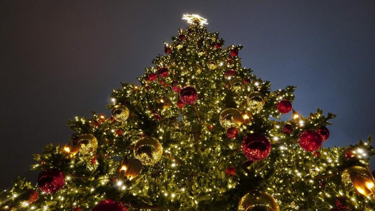 Свято наближається: у Варшаві засяяла головна ялинка – казкові фото - Закордон Свято наближається: у Варшаві засяяла головна ялинка – казкові фото - Закордон