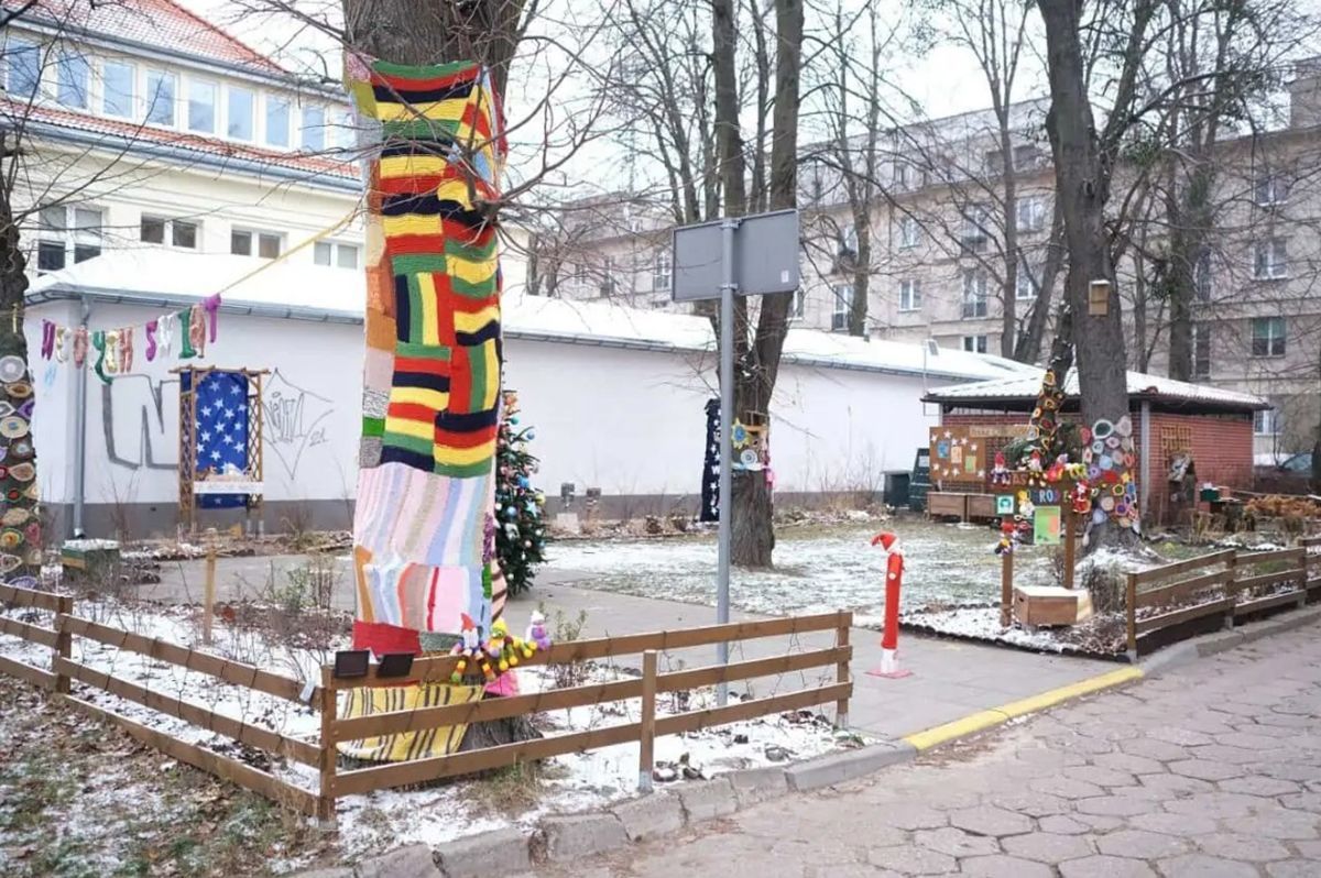 В Варшаве деревья украсили вязаными шарфами и свитерами: уютные фото - Закордон