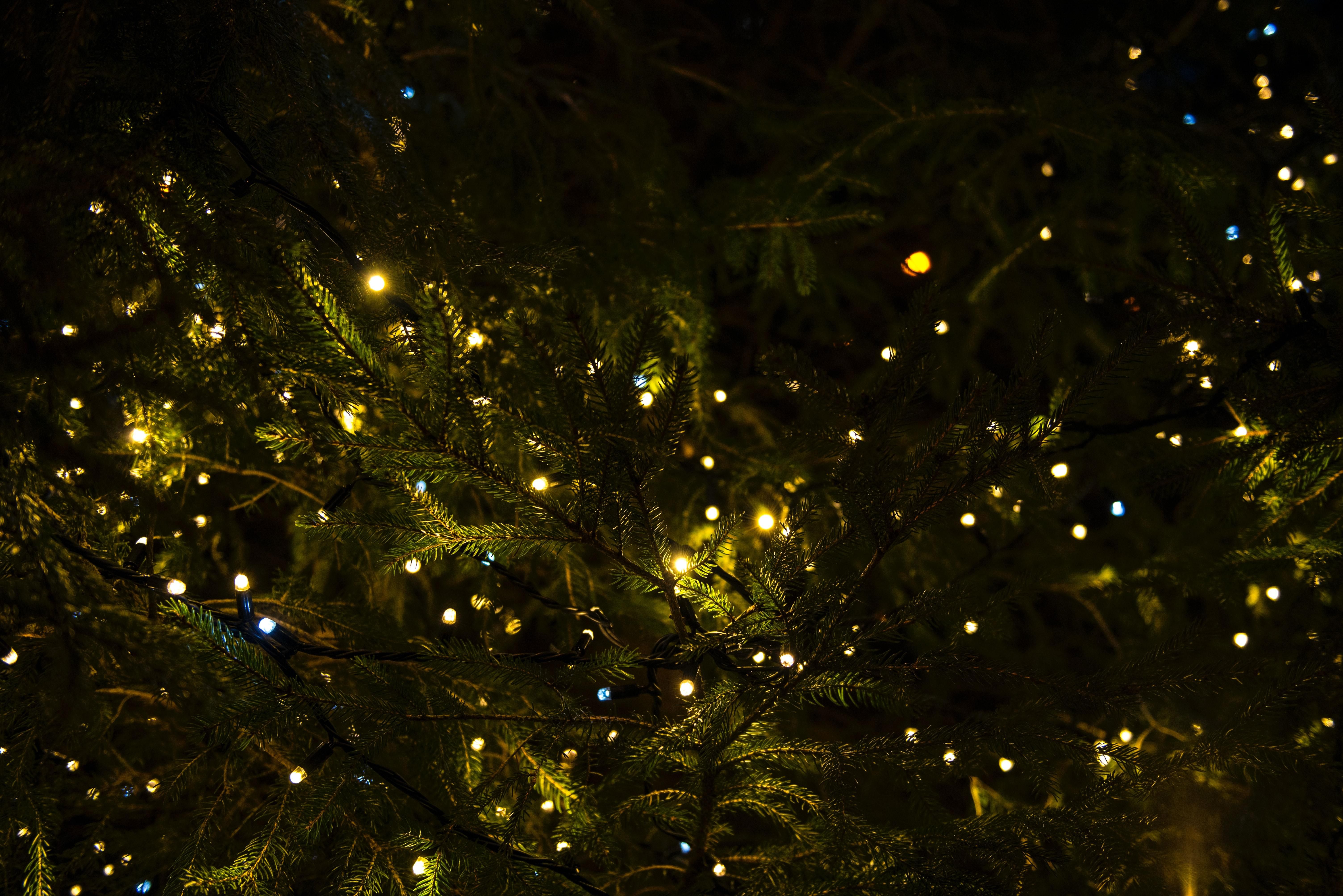 Скоротечный праздник: до какого времени в Праге будет стоять главная рождественская елка - Закордон