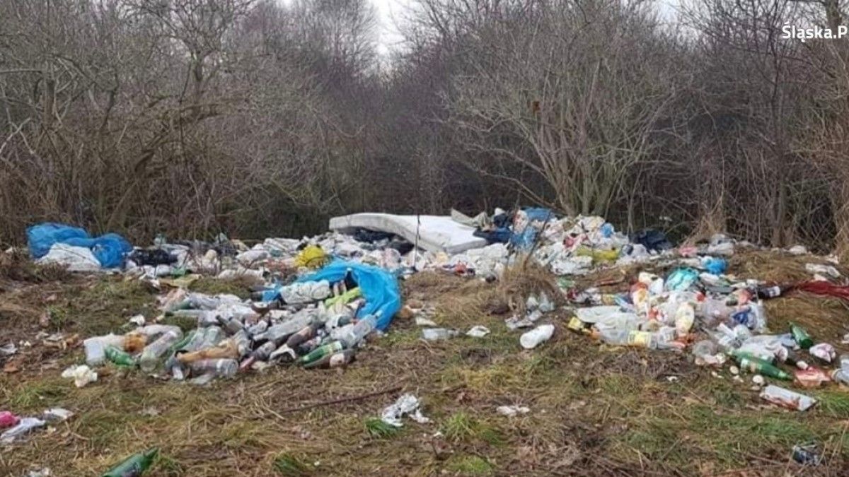Українець створив стихійне сміттєзвалище у Польщі