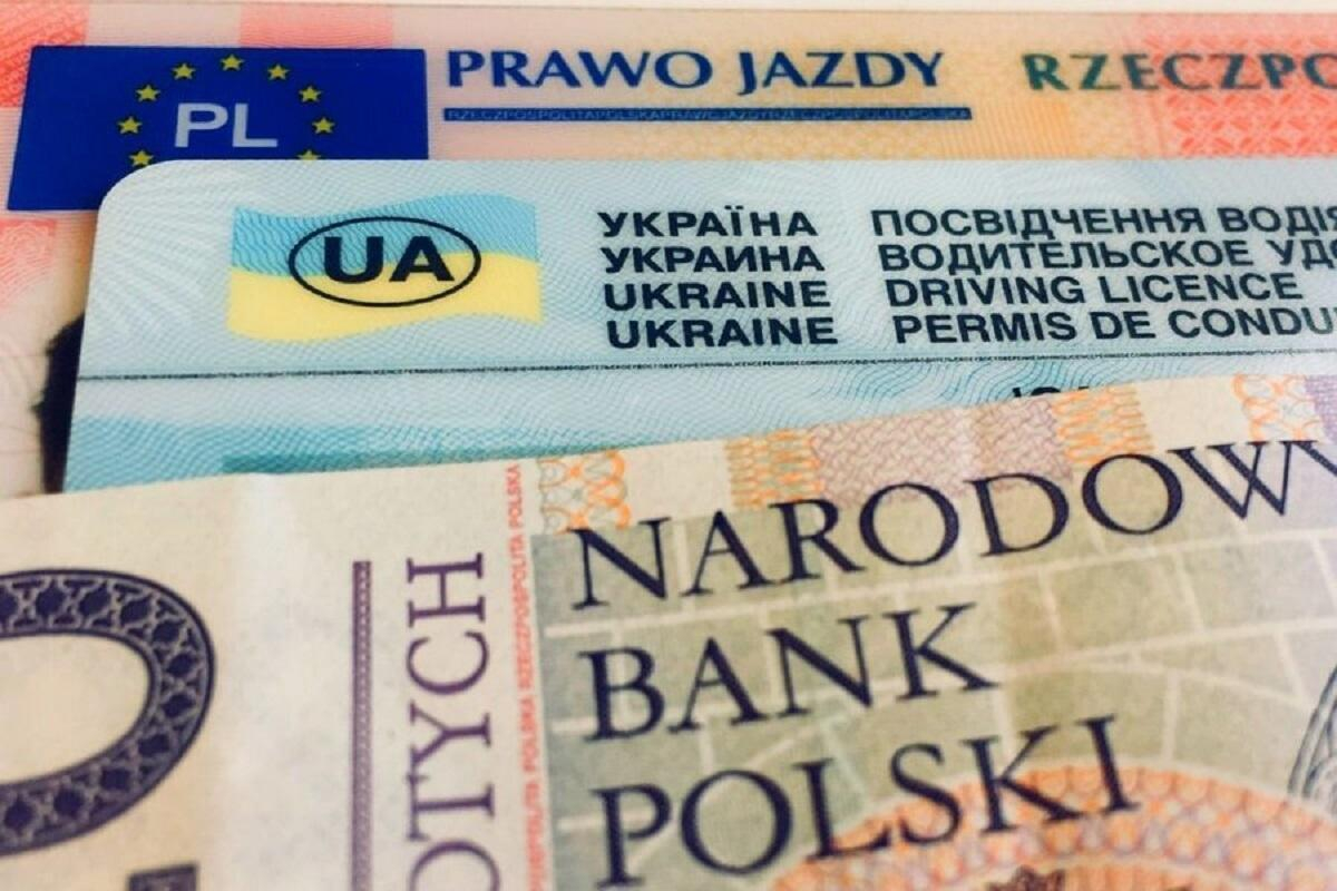 Українцям в Польщі дозволили не обмінювати водійські посвідчення до кінця року: пояснення - Закордон
