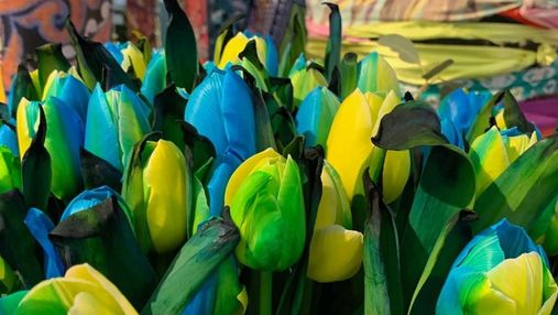 Квітникарі з Нідерландів вивели синьо-жовті тюльпани, присвячені Україні