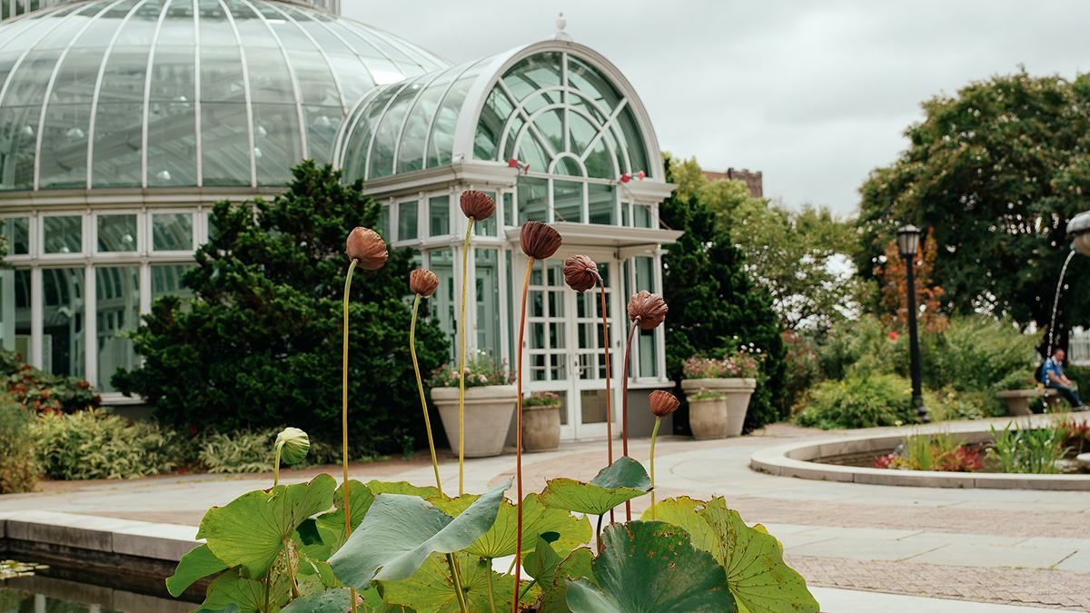 В ботаническом саду Варшавы объявили конкурс на лучшее фото сакуры - Закордон
