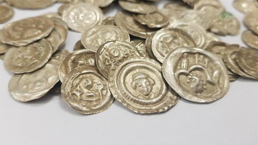У Польщі собака знайшов велику колекцію монет з XIII століття