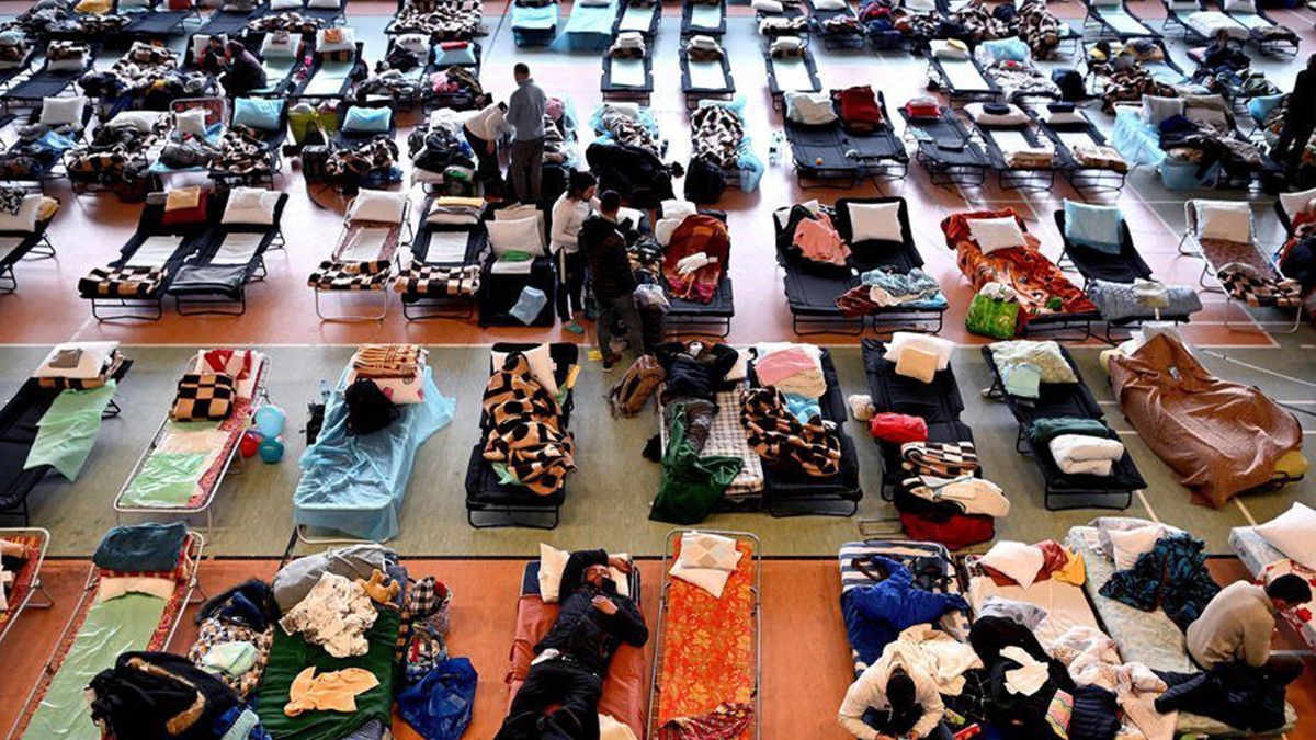 Какой процент беженцев не получают никакой помощи за границей результаты опроса - Закордон Какой процент беженцев не получают никакой помощи за границей результаты опроса - Закордон