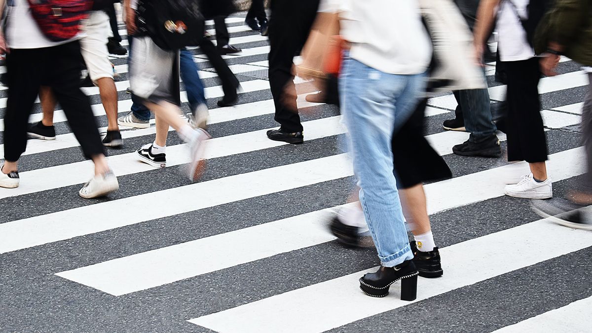 В Амстердаме появилась "крылатая зебра" как это повлияет на безопасность дорожного движения - Закордон В Амстердаме появилась "крылатая зебра" как это повлияет на безопасность дорожного движения - Закордон