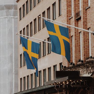 Українські біженці у Швеції можуть піти на безкоштовні курси з вивчення мови
