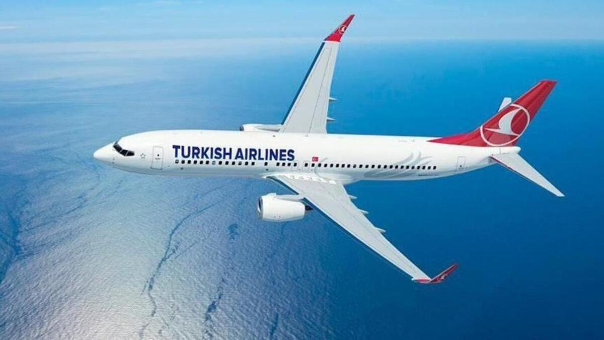 Перевезення багажу в економкласі Turkish Airlines відтепер буде платним - 8 июня 2022 - Закордон