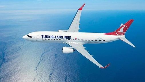 Перевозка багажа в эконом-классе Turkish Airlines теперь будет платной