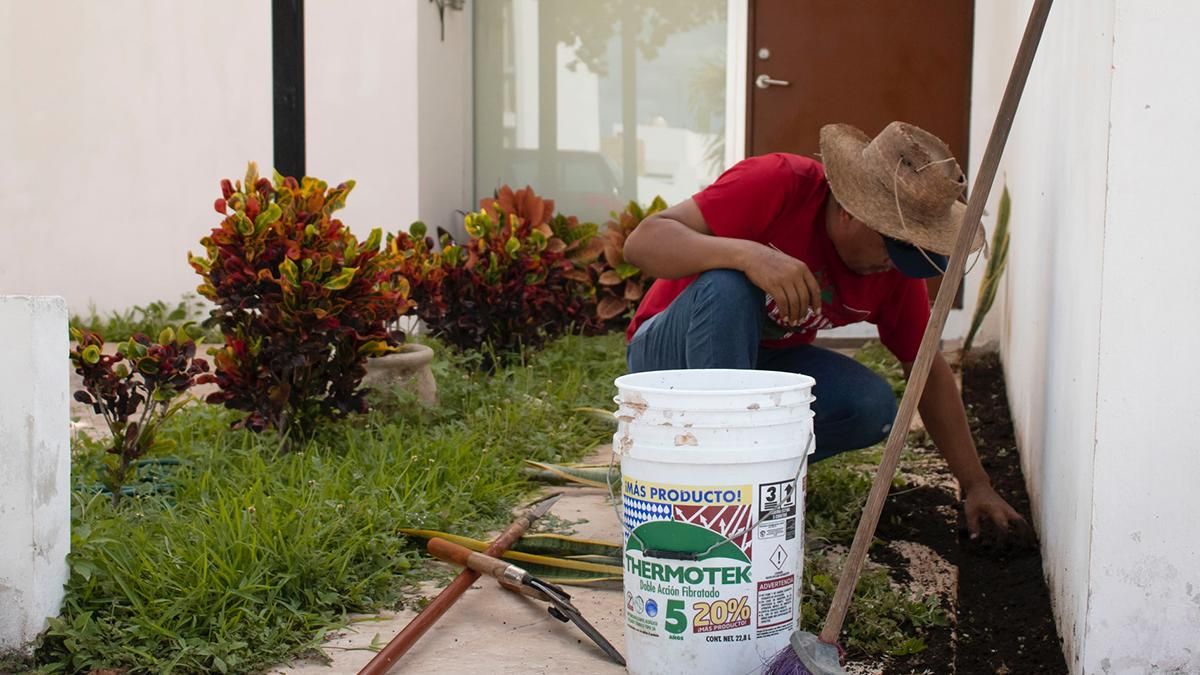 Сколько платят за подработку в Чехии Сколько платят за подработку в Чехии