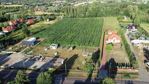 Лабиринт в кукурузном поле: альтернативная идея, как развлечься в Варшаве