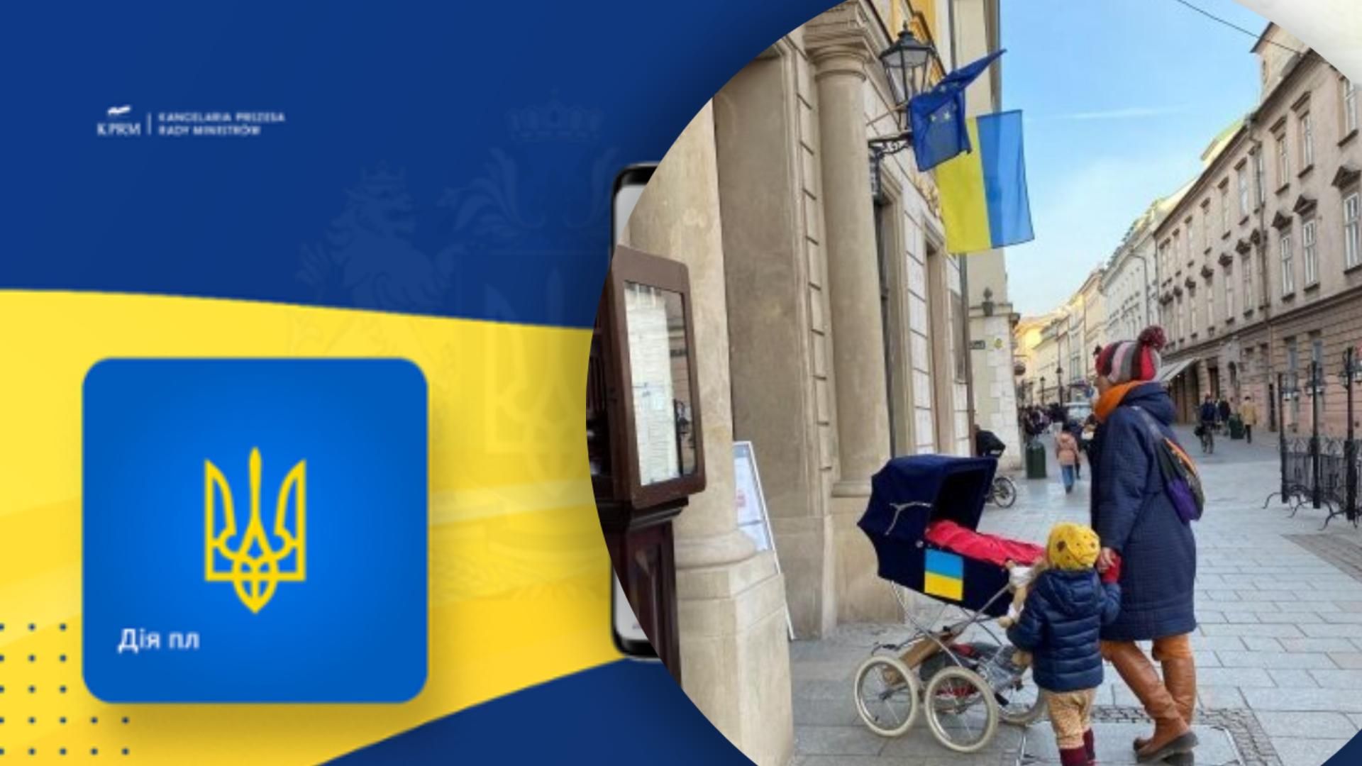 Украинцы в Польше будут получать электронный документ для пересечения границ ЕС Украинцы в Польше будут получать электронный документ для пересечения границ ЕС