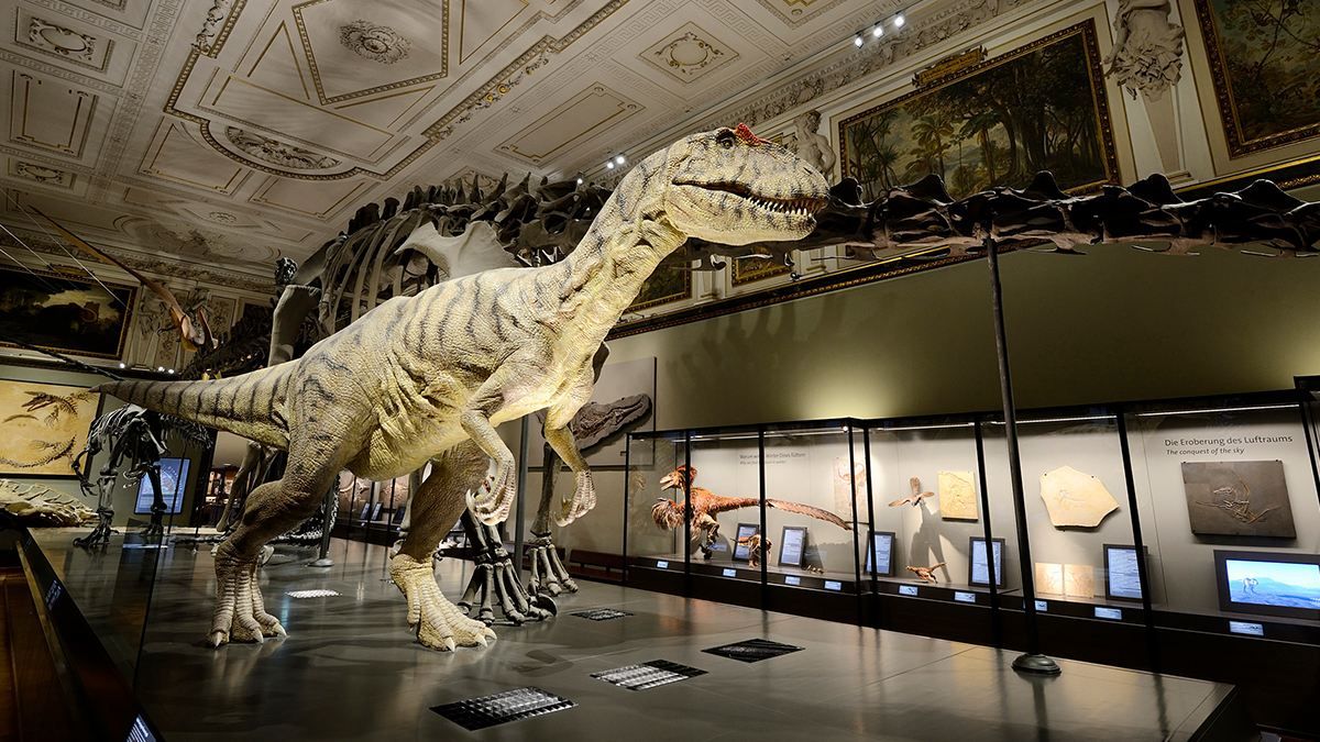 Музей естествознания в Вене Музей естествознания в Вене