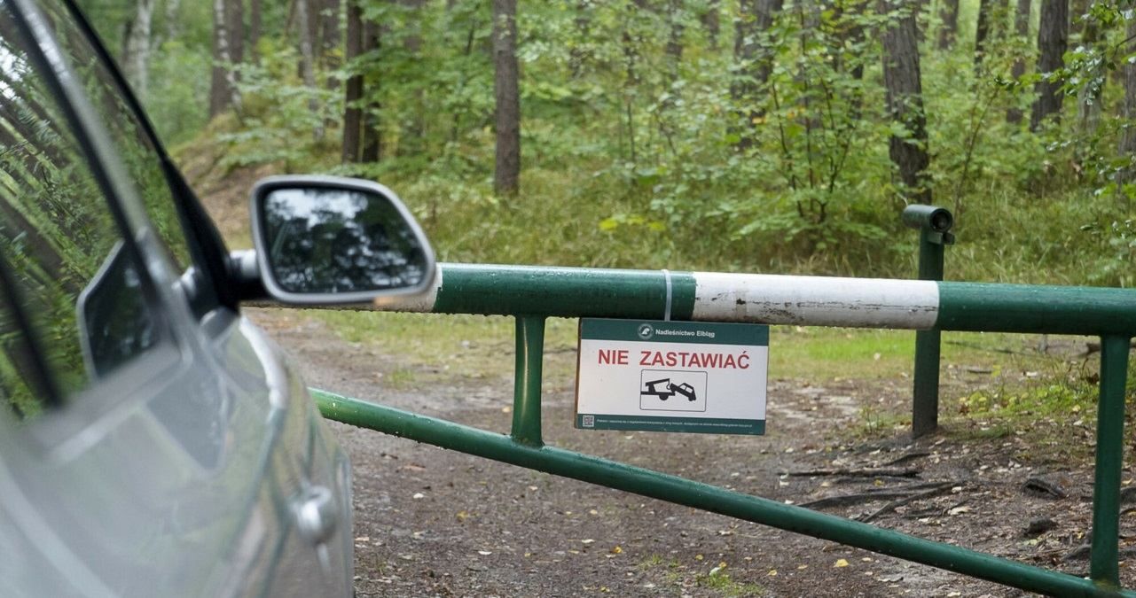 За что в Польше можно получить штраф во время поездки в лес