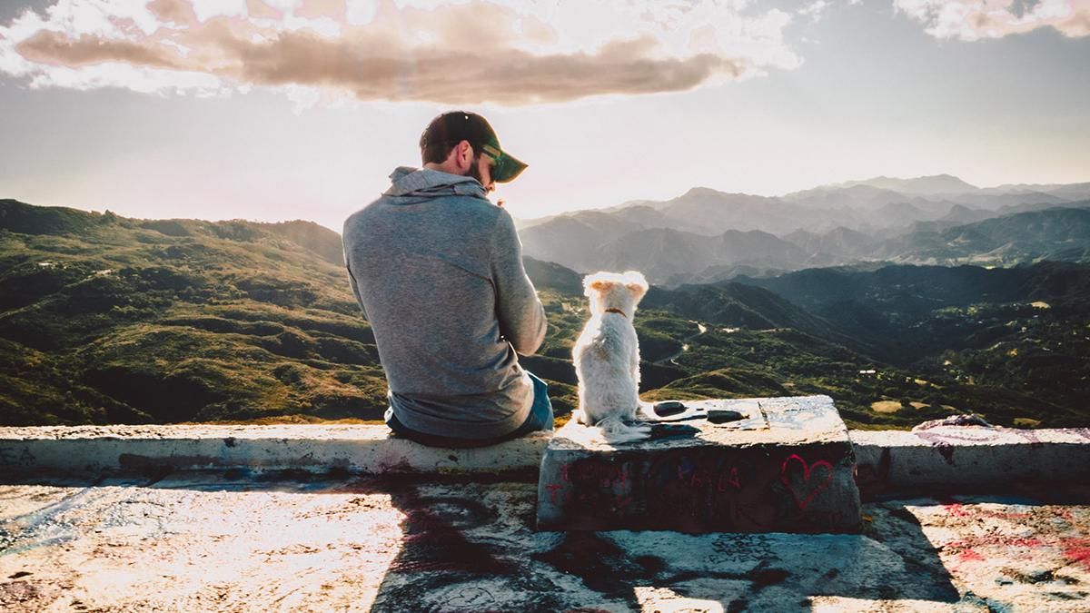 Как взять животное из приюта в Польше Как взять животное из приюта в Польше