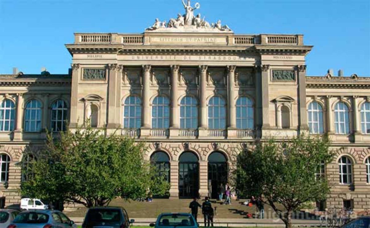 Варшавский университет Варшавский университет