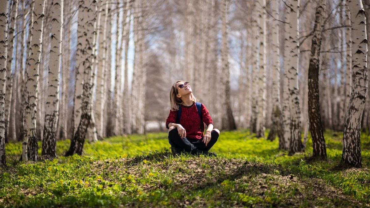 10 правил для безпечної прогулянки чеськими лісами 10 правил для безпечної прогулянки чеськими лісами