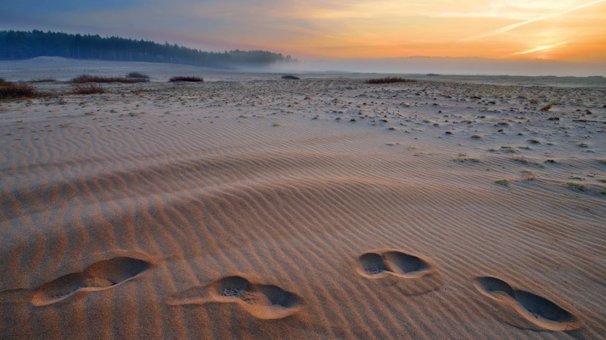 Блендувська пустеля біля Кракова Блендувська пустеля біля Кракова