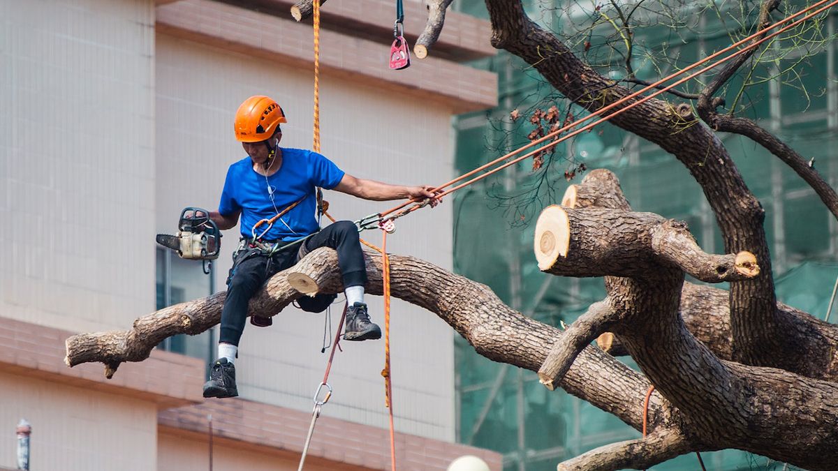 Германия нуждается в иностранных работниках Германия нуждается в иностранных работниках