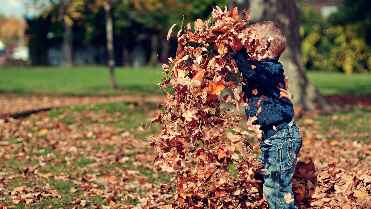 У Польщі настав перший день осені У Польщі настав перший день осені
