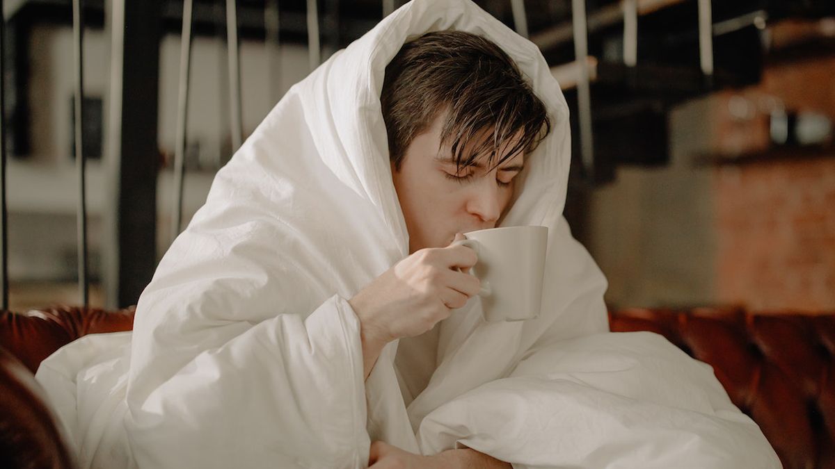 Поїздки на екскурсію та майстер-класи з бджільництва чим поляки займаються на лікарняному - Закордон Поїздки на екскурсію та майстер-класи з бджільництва чим поляки займаються на лікарняному - Закордон