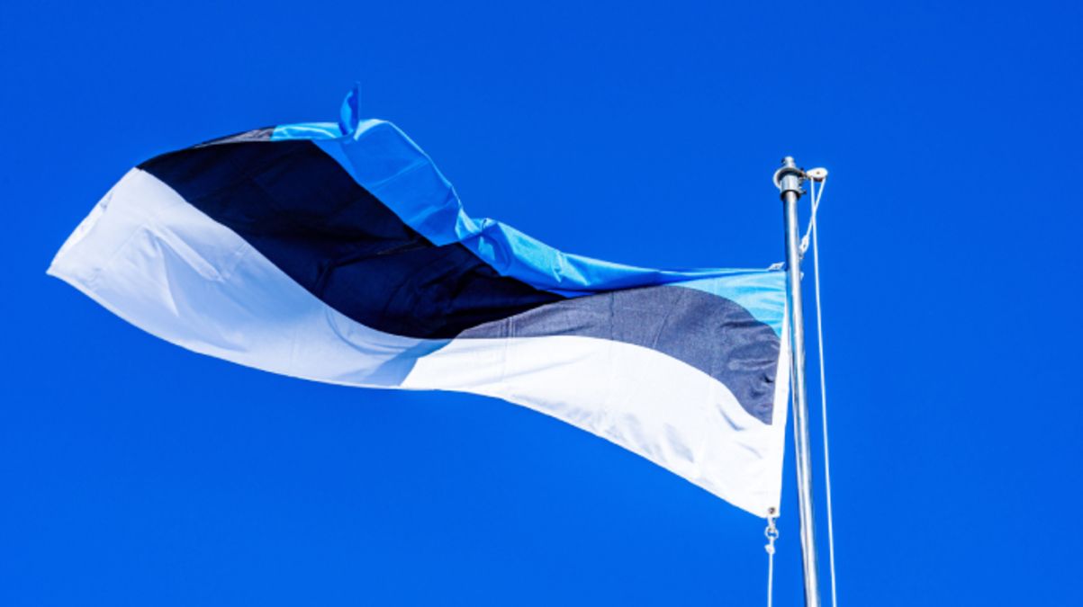 Естонія хоче налагодити кращий прийом українських біженців