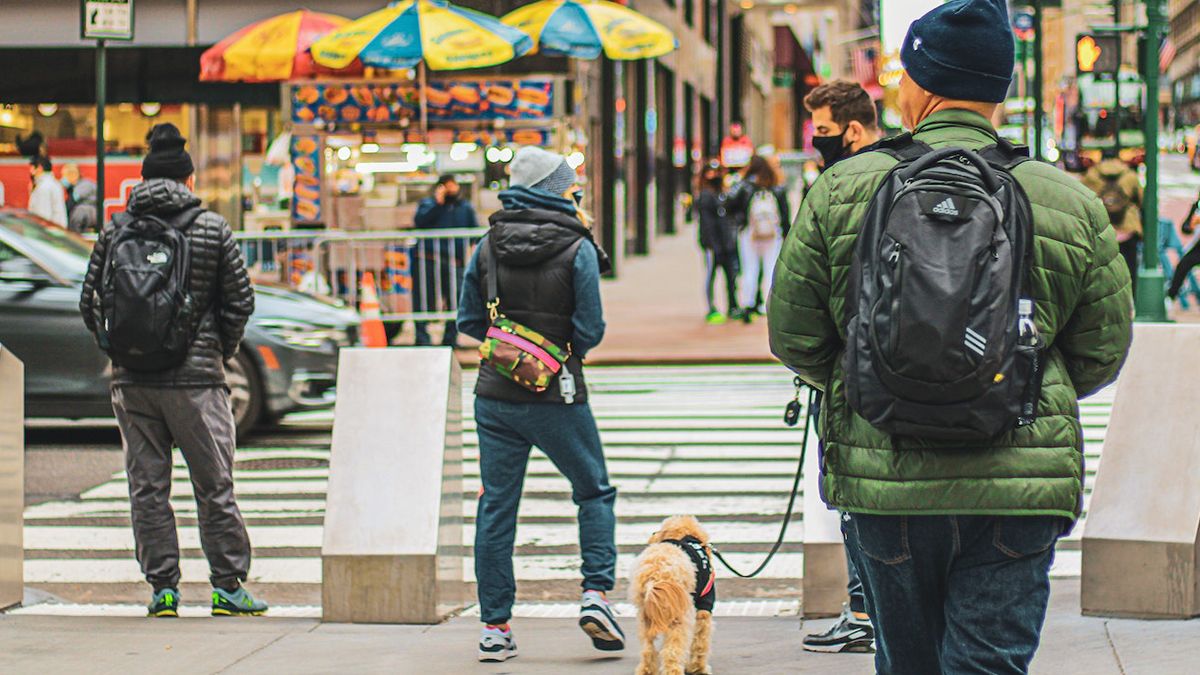 В Польше штрафуют пешеходов за пользование телефоном на "зебре" В Польше штрафуют пешеходов за пользование телефоном на "зебре"