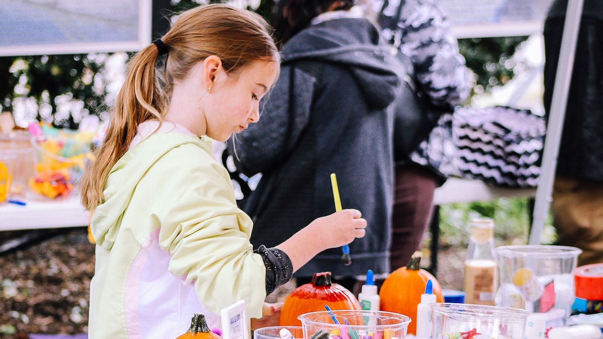 Где в Кракове можно провести время с детьми Где в Кракове можно провести время с детьми