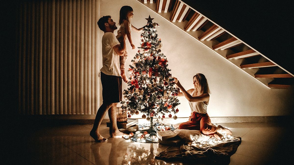 Где в Чехии можно арендовать елку Где в Чехии можно арендовать елку