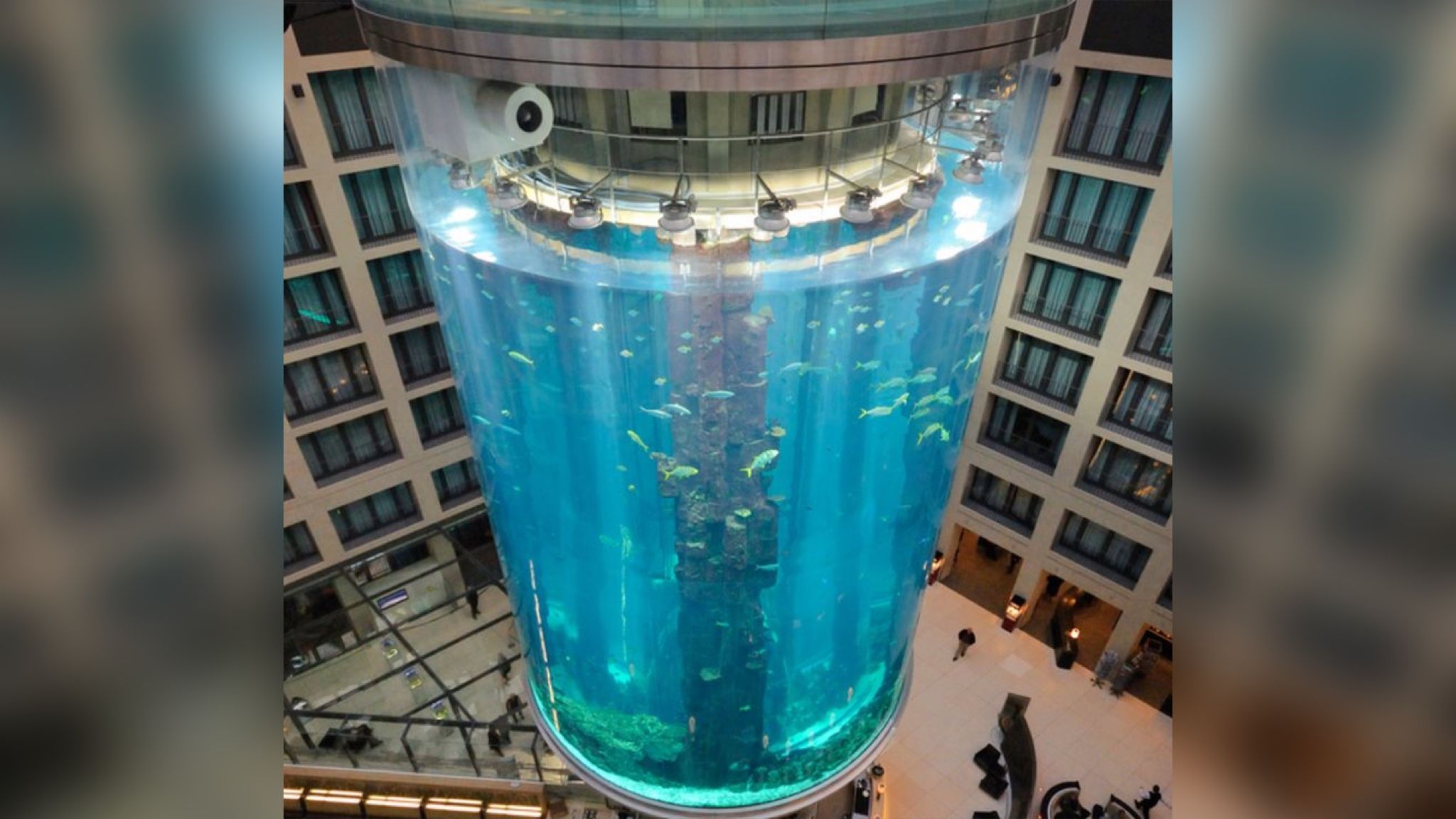 У Берліні луснув найбільший у світі циліндричний акваріум