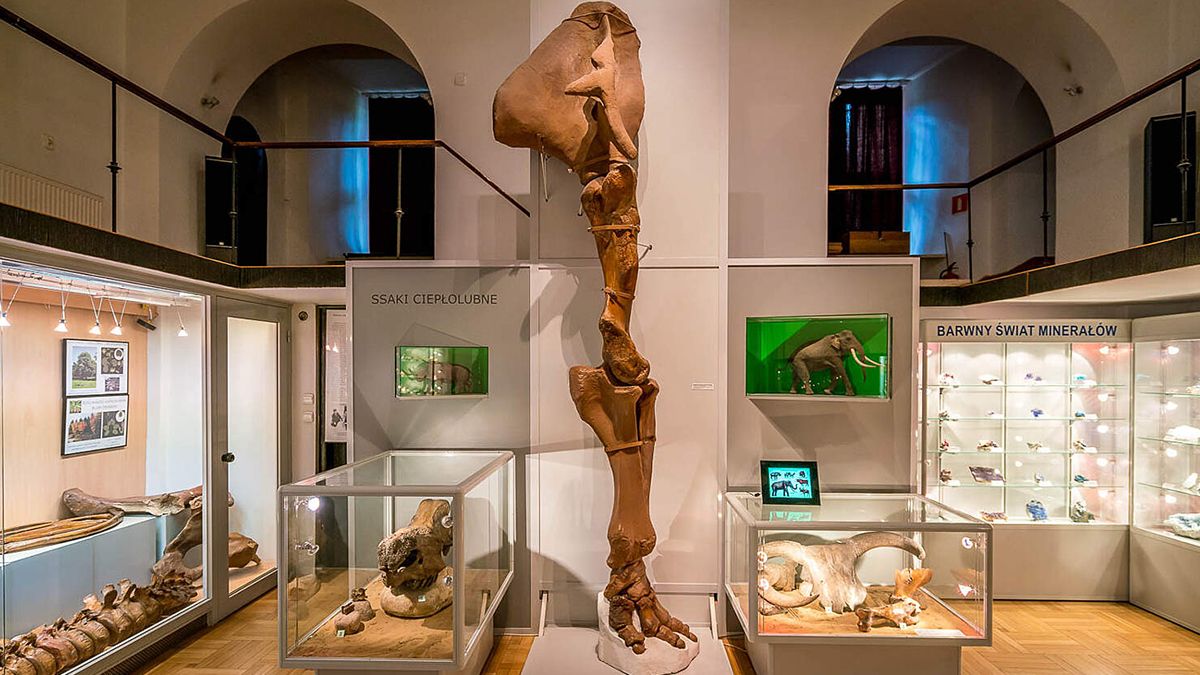 Виртуальные туры по музеям Польши Виртуальные туры по музеям Польши