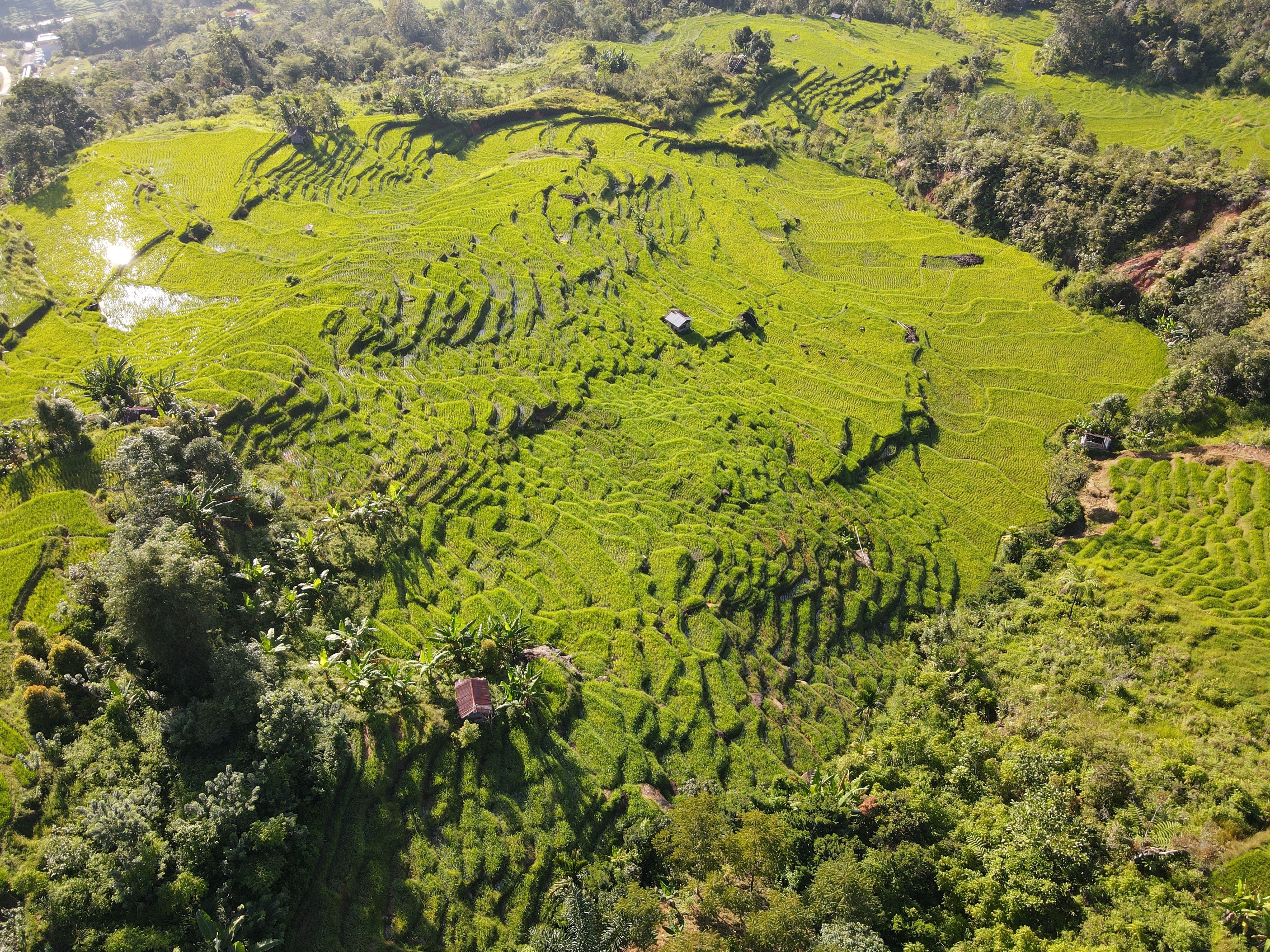 10 туристических локаций, находящихся под угрозой исчезновения 10 туристических локаций, находящихся под угрозой исчезновения