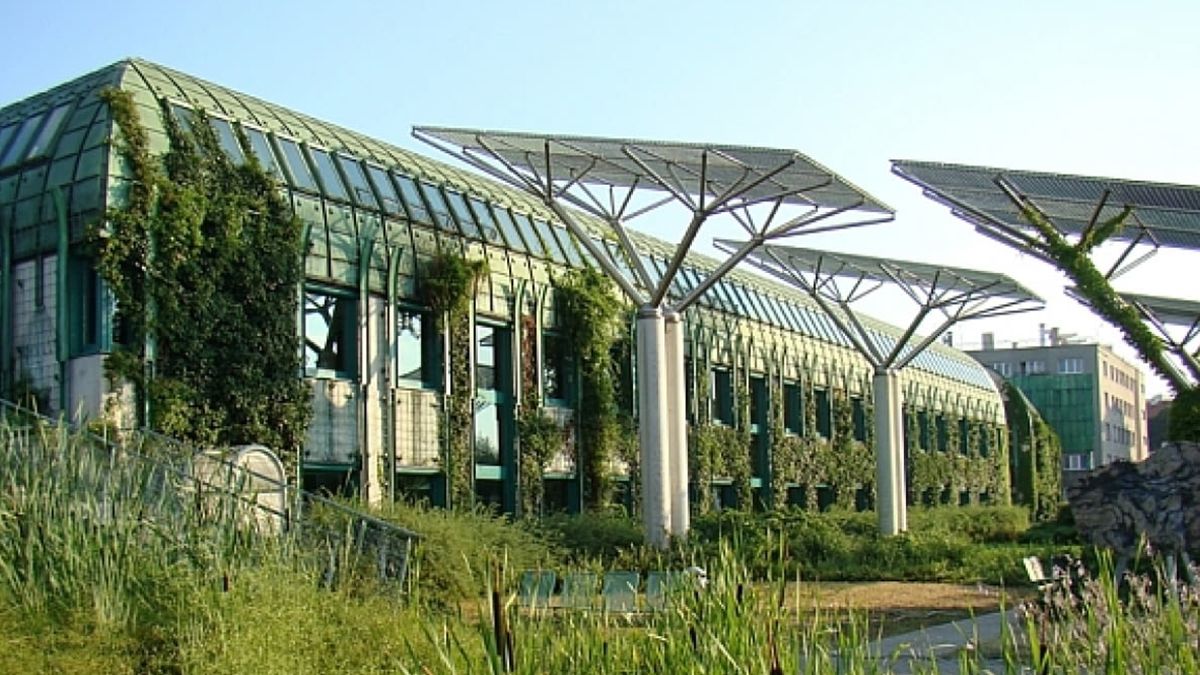 Ботанічний сад Варшавського університету
