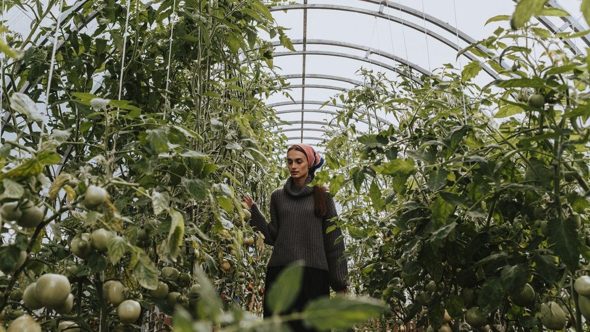 Для украинцев в Швеции найдется постоянная и сезонная работа Для украинцев в Швеции найдется постоянная и сезонная работа