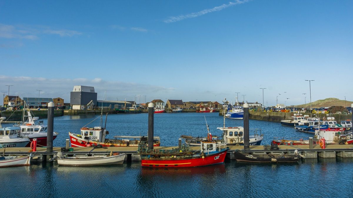 Затока Гоут у передмісті Дубліна Затока Гоут у передмісті Дубліна