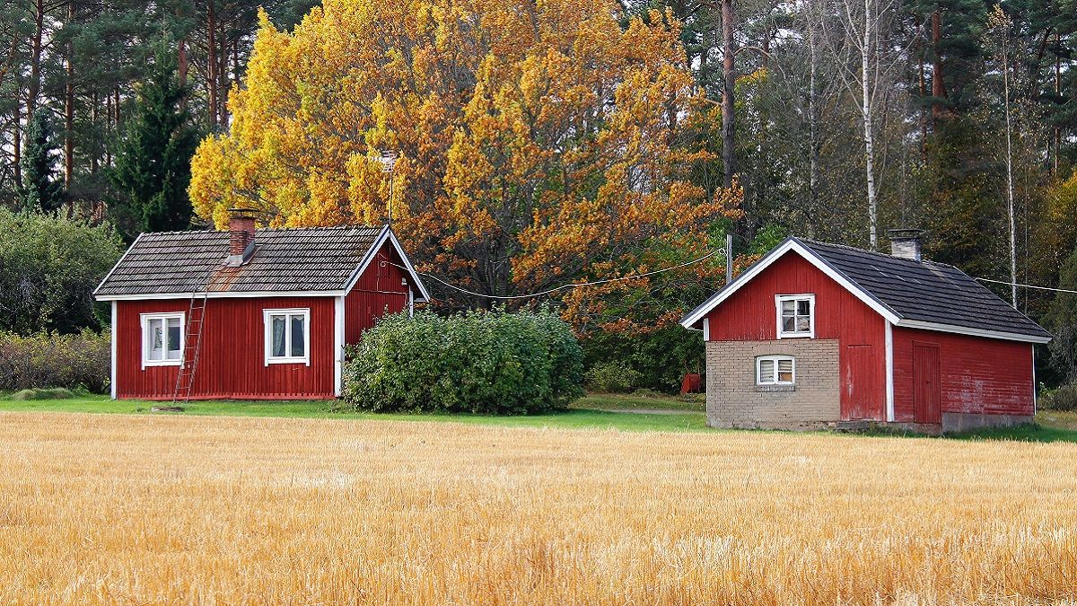 Будиночки, які незабаром можуть знайти нових мешканців Будиночки, які незабаром можуть знайти нових мешканців